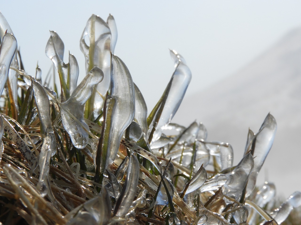 Freezing Rain Warning, Why Freezing Rain is Hazardous Regional Considerations for Freezing Rain Warnings, Safety Tips for Freezing Rain Warnings